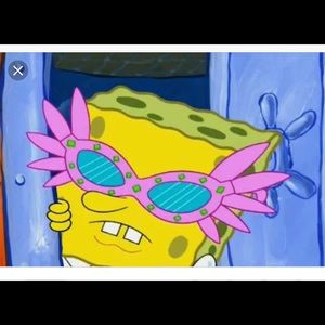 Meet your Posher, Karina